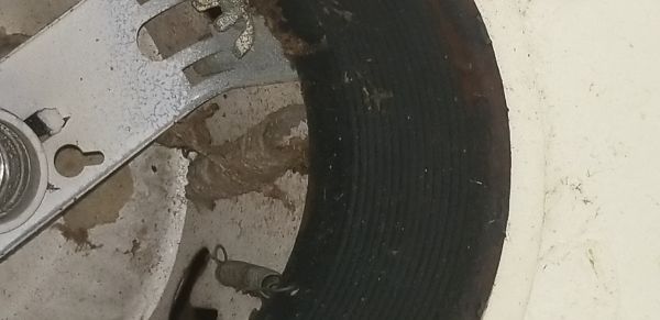 20181018_114748.jpg