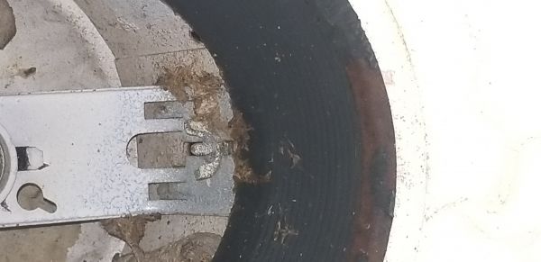 20181018_114753.jpg