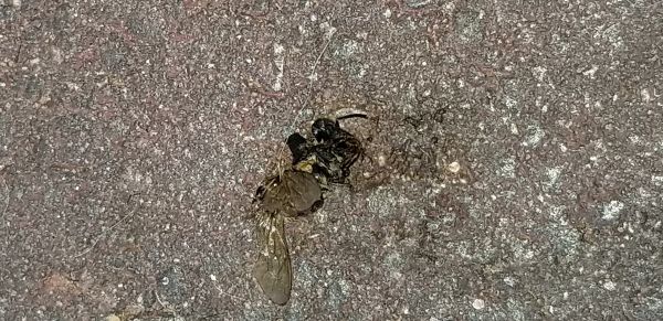 20181018_114827.jpg