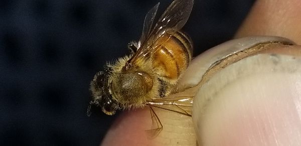 20181018_114844.jpg