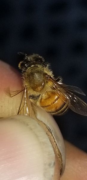 20181018_114844~0.jpg