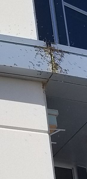 20181023_095745.jpg