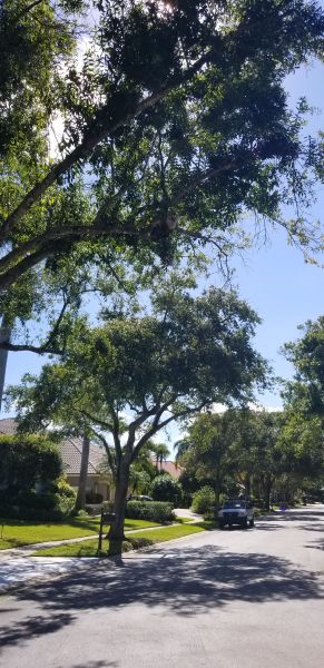 20181026_121443.jpg