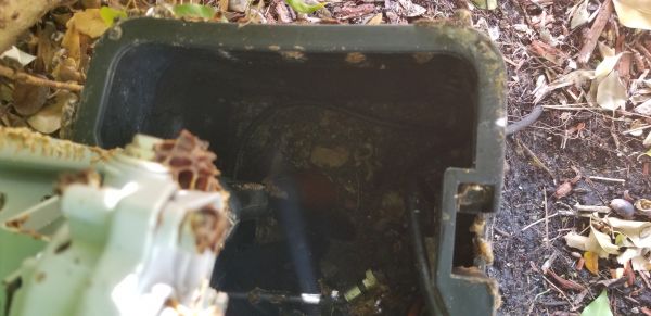 20181026_132908.jpg