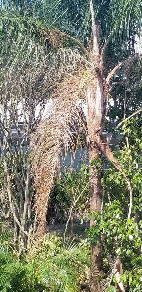 20181109_122336.jpg