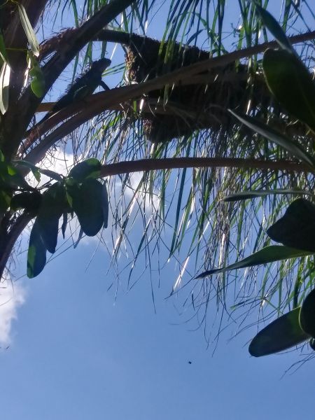 20181110_095906_HDR.jpg