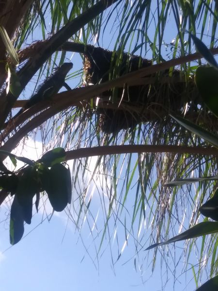 20181110_095914.jpg