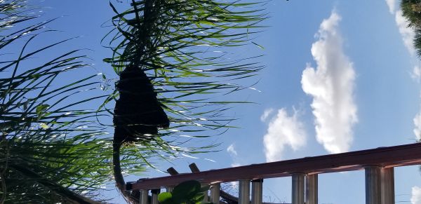 20181110_101709.jpg