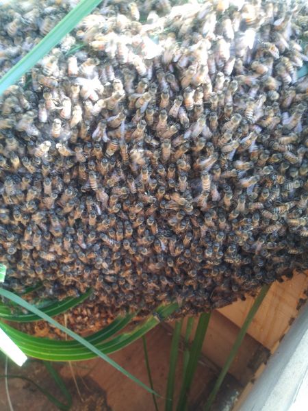 20181110_103913.jpg