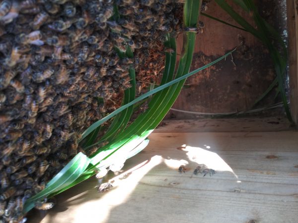 20181110_104132.jpg