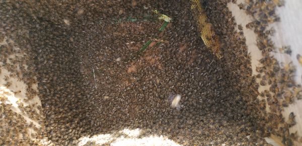 20181110_105233.jpg