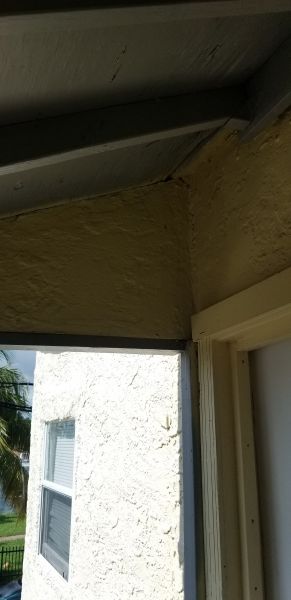 20181111_120732.jpg