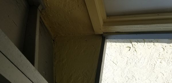 20181111_120916.jpg