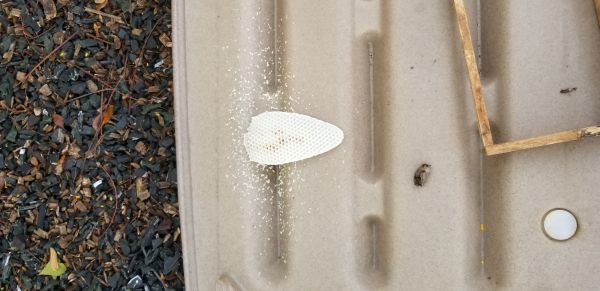 20181112_131547.jpg