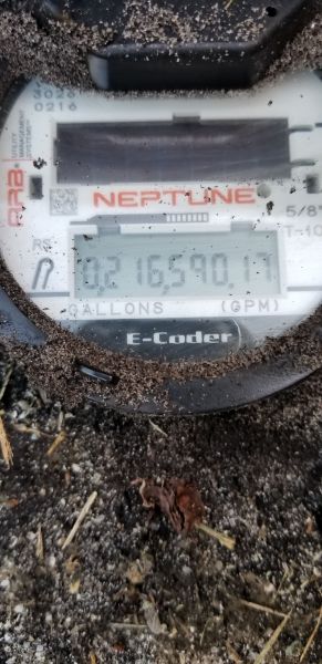 20181115_155945.jpg