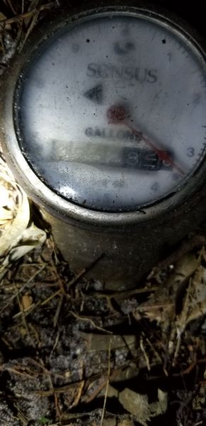 20181116_191603.jpg