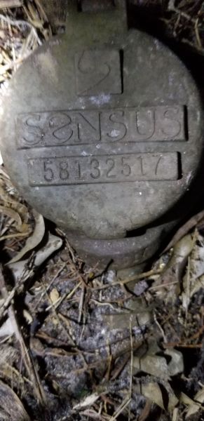 20181116_191609.jpg