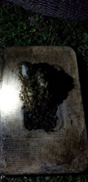 20181116_191615.jpg
