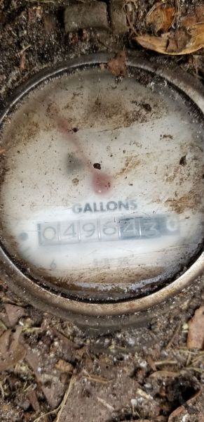 20181119_150507.jpg