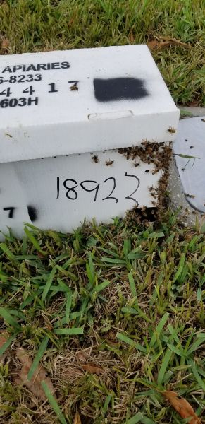 20181119_150718.jpg