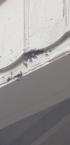 20181120_164041.jpg