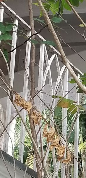 20181120_164151.jpg