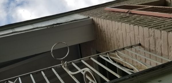 20181120_164219.jpg