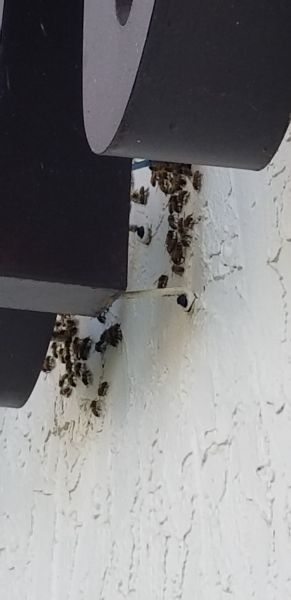 20181121_133521.jpg