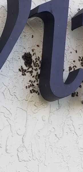 20181121_133616.jpg