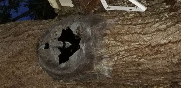20181204_175639.jpg