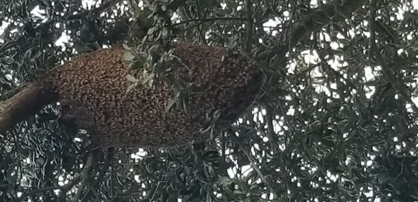 20181210_074930.jpg