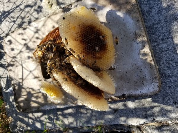 20181219_131018.jpg