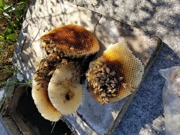 20181219_131144.jpg