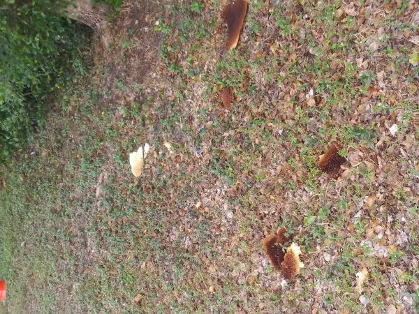 20181226_135835.jpg
