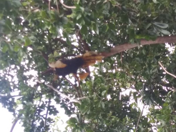 20181226_135852.jpg
