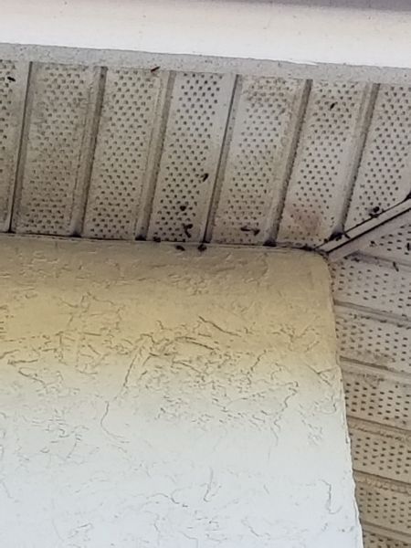 20190102_142023~1.jpg