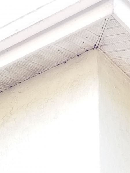 20190102_142059~1.jpg