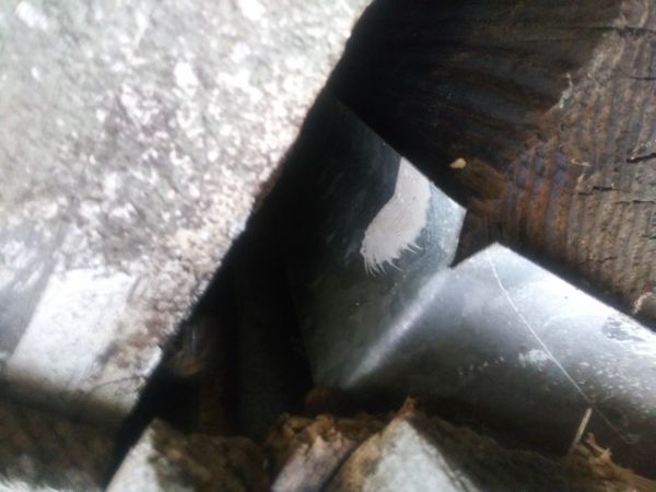 20190107_174728.jpg