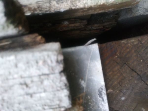 20190107_174756.jpg