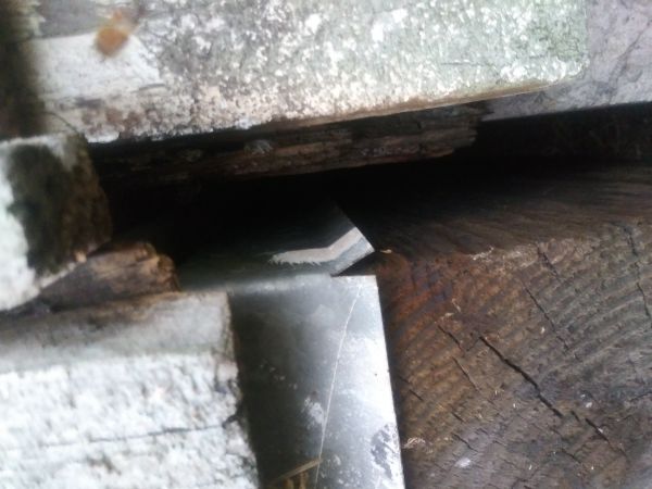 20190107_174804.jpg