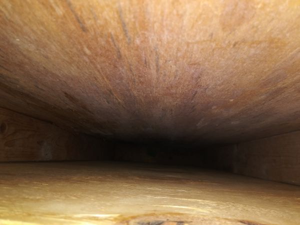 20190107_175326.jpg