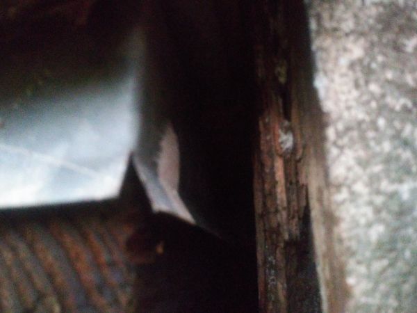 20190107_175449_Burst05.jpg