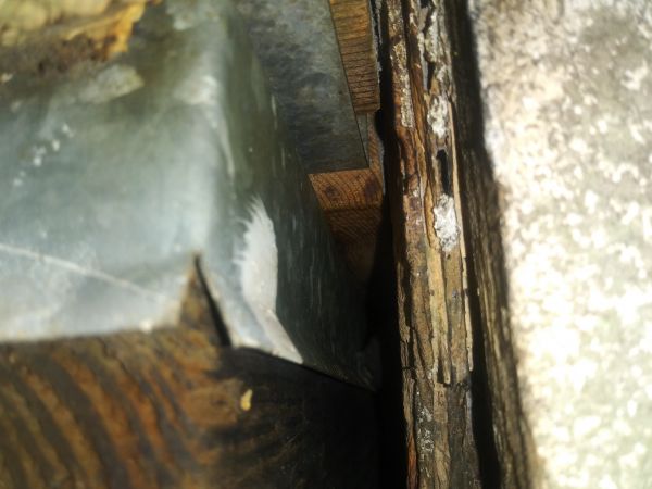 20190107_175454.jpg