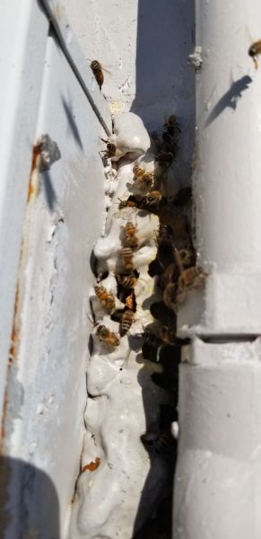 20190204_162340.jpg