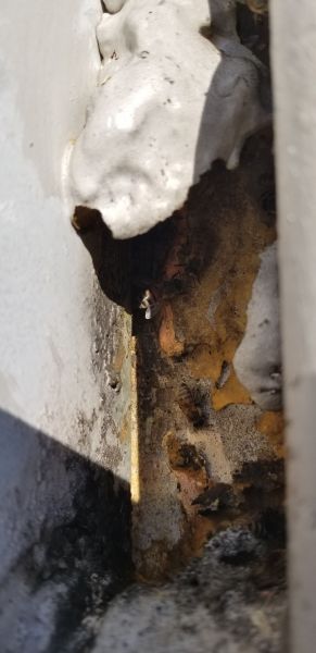 20190204_162412.jpg
