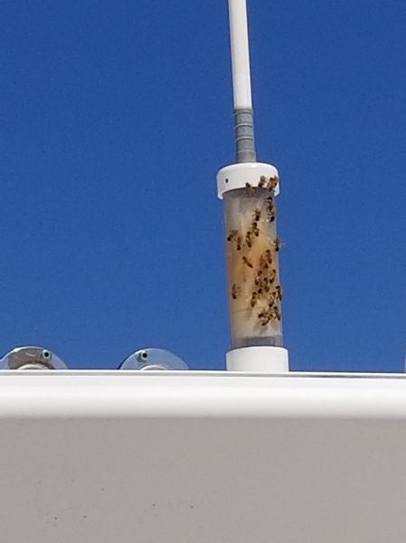 20190215_122633.jpg