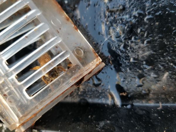 20190221_072725.jpg