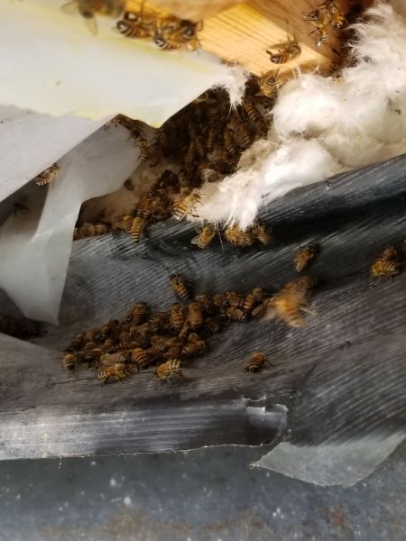 20190226_133928.jpg
