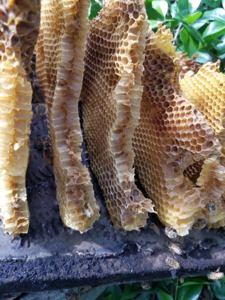 20190228_145838.jpg