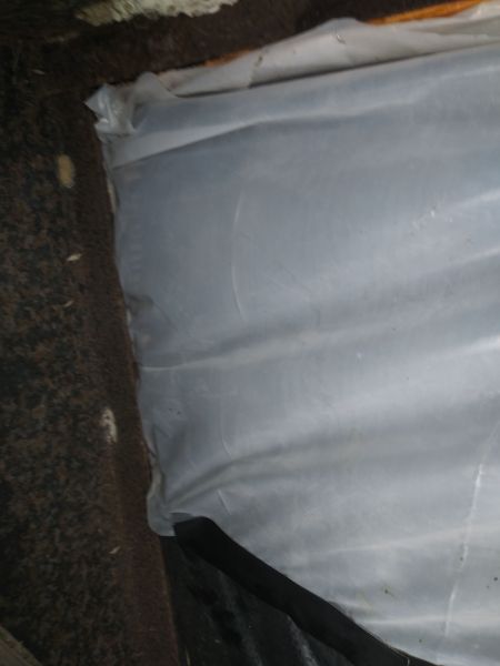 20190302_100351.jpg